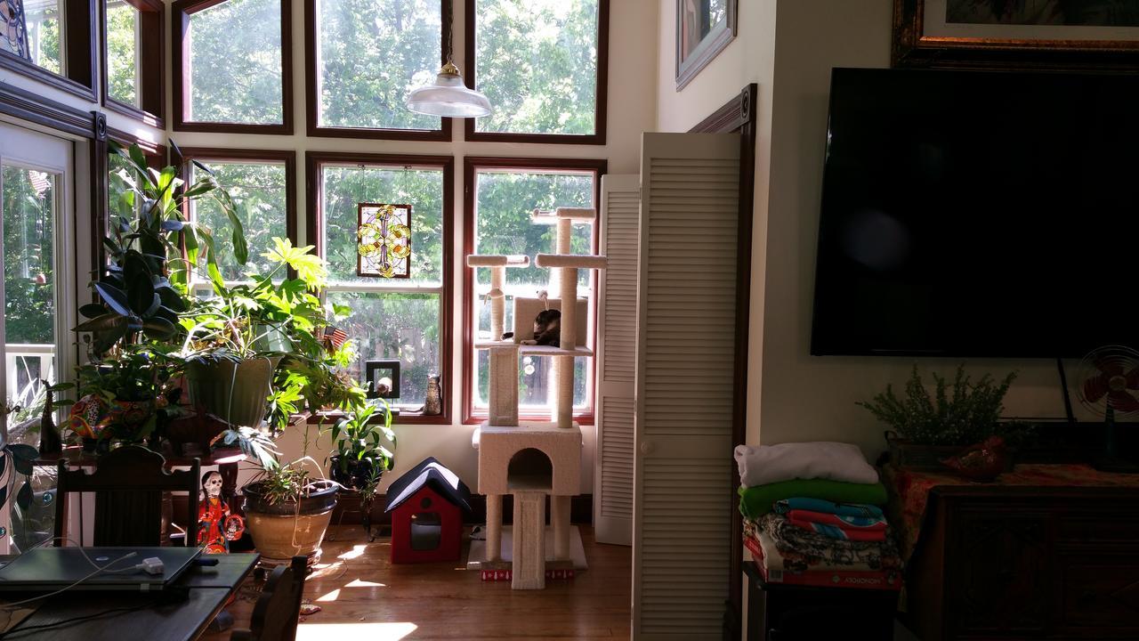 Fig Tree Manor Bed and breakfast 3*