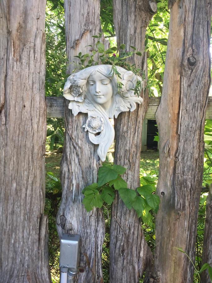 Bed and breakfast Fig Tree Manor