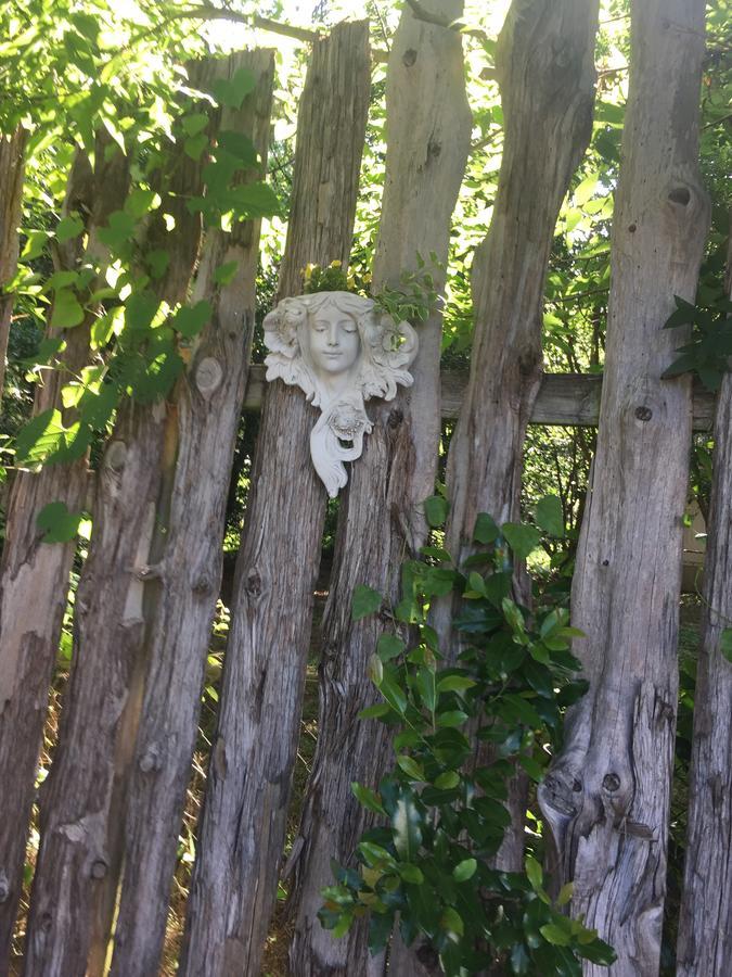 Bed and breakfast Fig Tree Manor Palestine