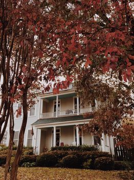 Fig Tree Manor 3*